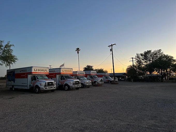 Trucks parked at dusk with palm tree and sky